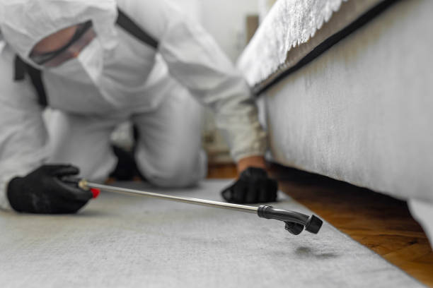 Professional Cockroach Control technician working in Ashland, CA