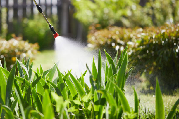 24/7 Emergency Cockroach Control experts in Ashland, CA